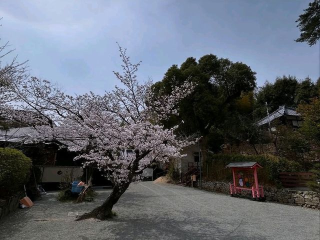 Kasugataisha Shrine