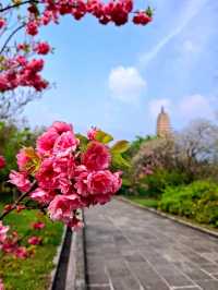 Chongsheng Temple and Three Pagodas 