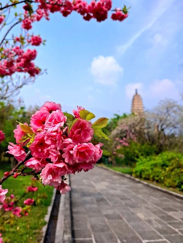 Chongsheng Temple and Three Pagodas 