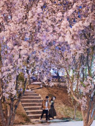 🌸✨ Nighttime in Beijing is full of surprises