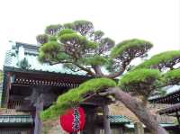 Daibutsu Hiking Trail Totally Rocks