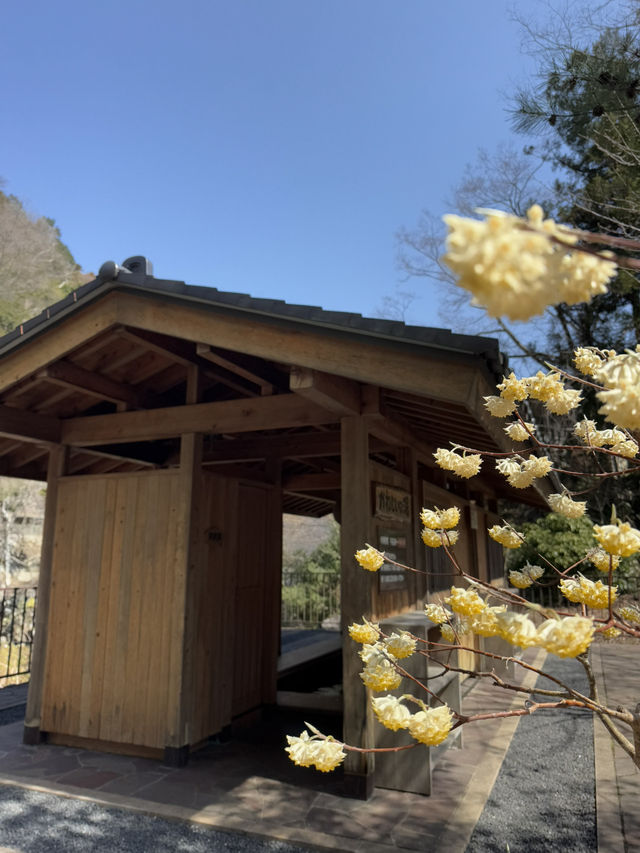 【栃木】鬼怒川温泉だけじゃない!!超穴場癒されスポット