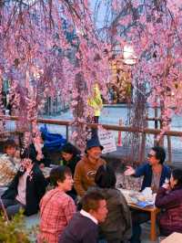 Utsunomiya Unwrapped – Gyoza, Jazz & Gateway to Nature