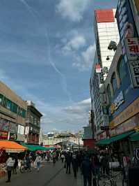 Suwon in Bloom: Cherry Blossoms Amidst Historic Beauty
