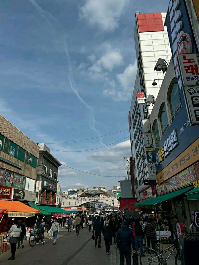 Suwon in Bloom: Cherry Blossoms Amidst Historic Beauty