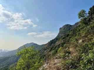 2026年 ライオン ロック（獅子山）森おすすめ| Trip Moments