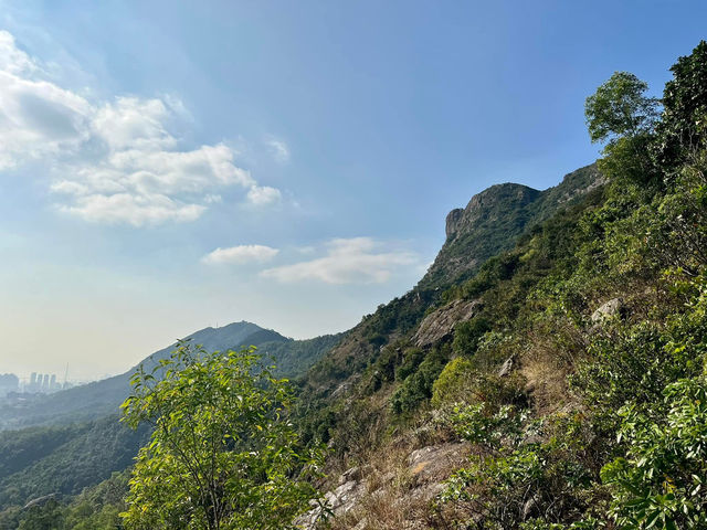 🗺️**探索獅子山頂**🗺️