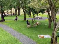Anna Coffee Roasters Huaruea - คาเฟ่ในสวนบรรยากาศดี