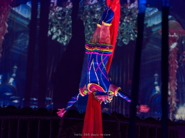 AQUA CIRCUS PHUKET - ท่องโลกปาฎิหาริย์เหนือสายน้ำ