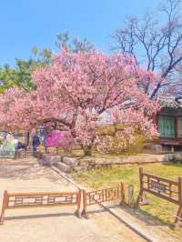 💕청덕궁 가족과 함께 거닐기 좋은 곳 🌲