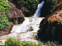 Golden Waterfall