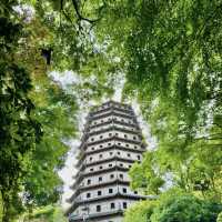 A Magical Trip to Hangzhou