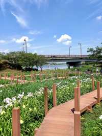 A Nature-Filled Day in Tatebayashi – Flowers, Shrines & Stillness