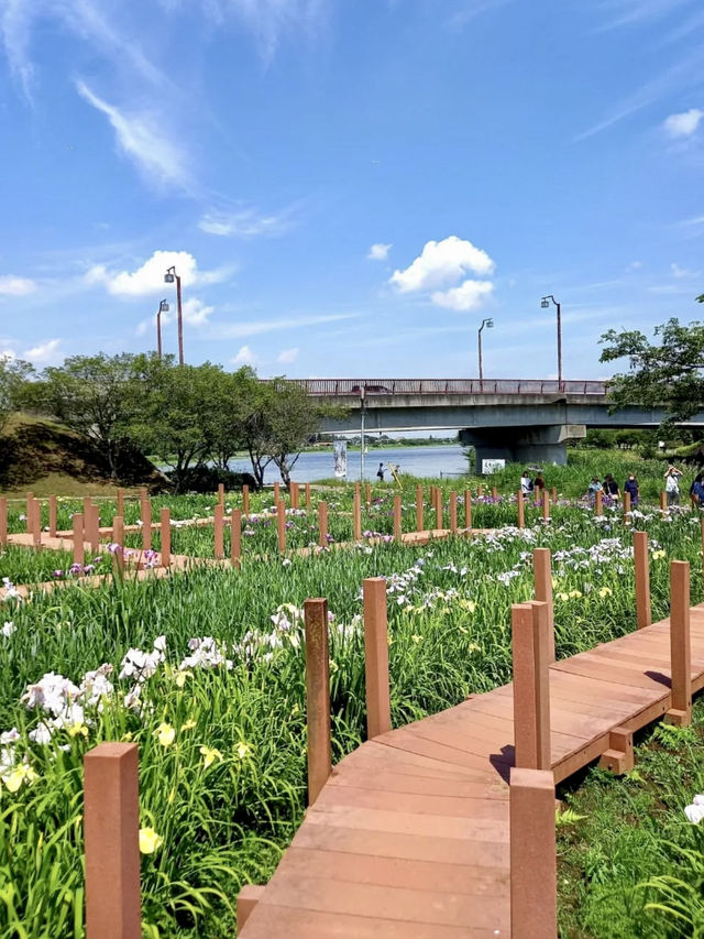 A Nature-Filled Day in Tatebayashi – Flowers, Shrines & Stillness