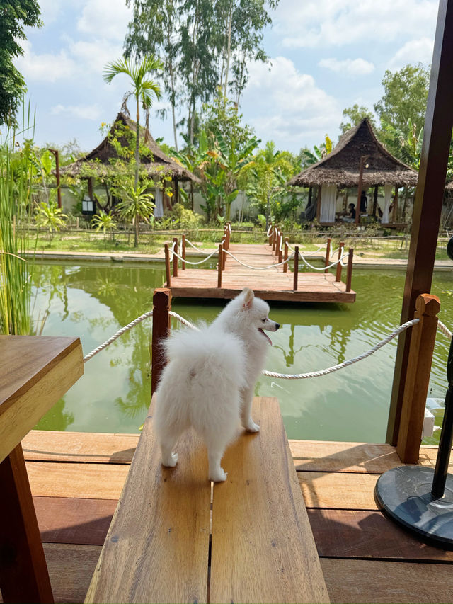 Beautiful restaurant in Siem Reap!