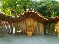 【愛知県】足の神様が祀られた美しいお宮！「白山宮」
