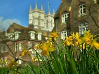 A Royal Legacy – Step Inside the Historic Westminster Abbey