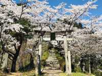 The amazing Oyama Park