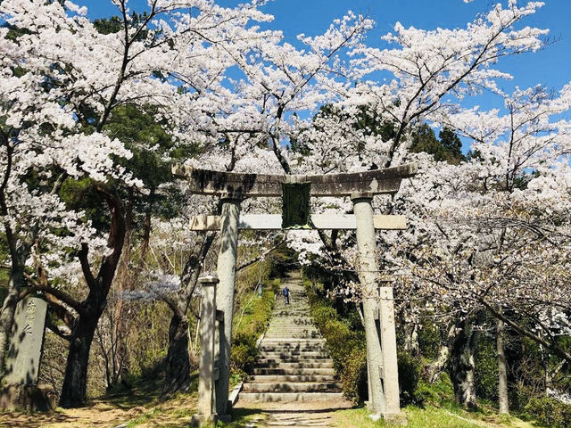 The amazing Oyama Park