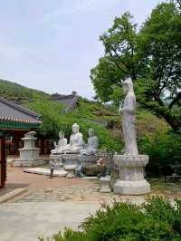 팔공산의 품에 안긴 동화사