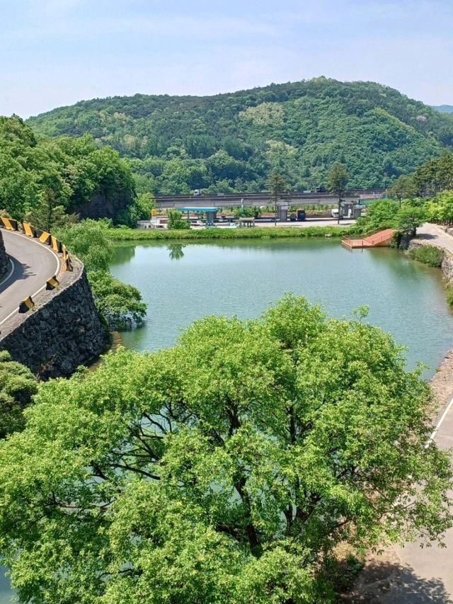 연등 아래 흐르는 바람과 시간