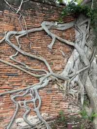 Wat Mahathat in Ayutthaya, Thailand 