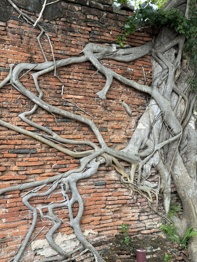 Wat Mahathat in Ayutthaya, Thailand 