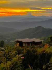 ที่พักไฮตาก บรรยากาศหลักล้าน มู้ดโคตรดี 🧡🏠🍃
