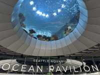 Things to do for a day in Seattle!