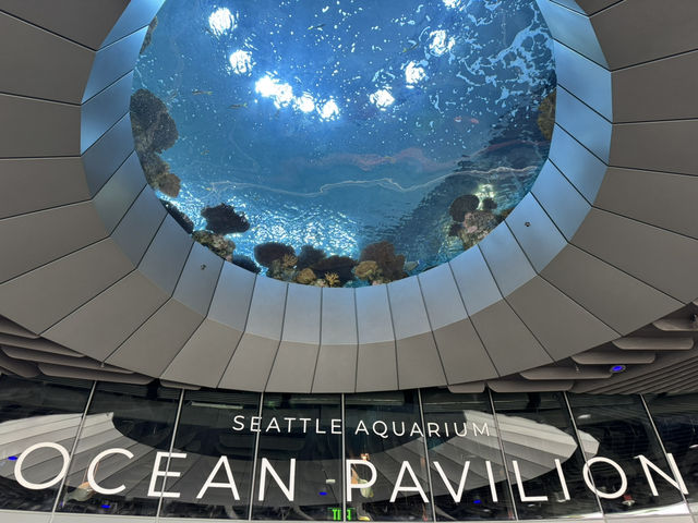 Things to do for a day in Seattle!