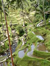 Ubud’s Dreamiest Jungle Playground at Alas Harum