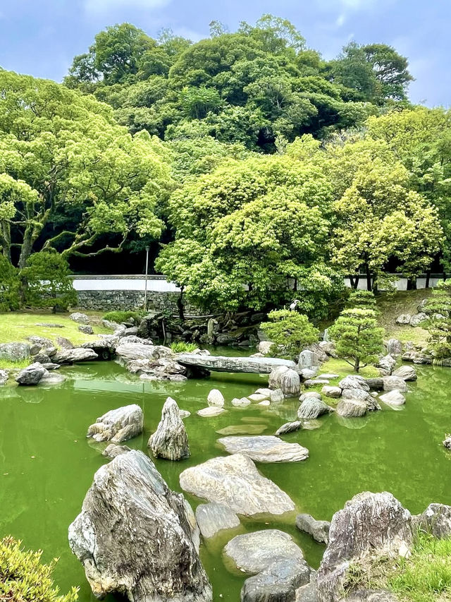 Relaxing Stroll in Tokushima 🏞️🌸