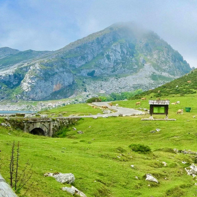 Northern Spain’s Most Beautiful Natural Paradise 🍃✨ The “Little Switzerland” of Spain 🇪🇸