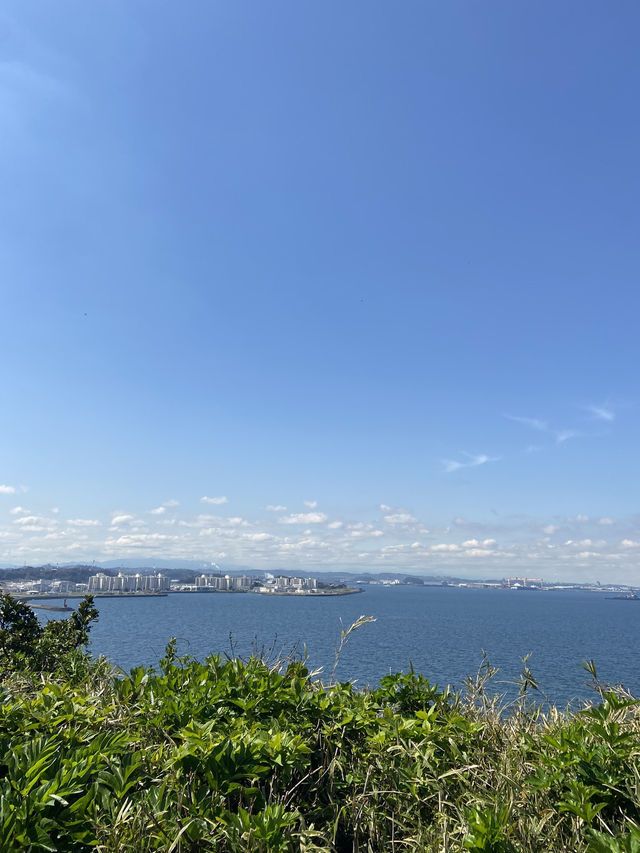 【猿島】都会から行ける魅惑の無人島🏝️