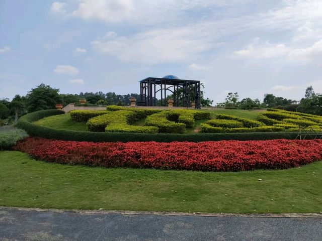 🪴Citywalk 東莞植物園