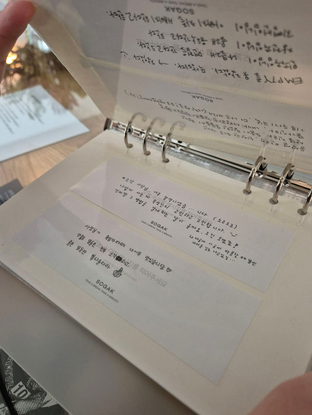 🩷🫧홍대 동교동 카페 분위기 좋은 휴식공간 소각커피
