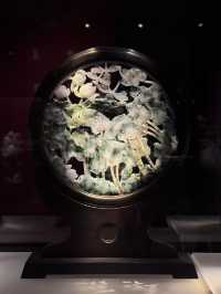 Impeccable jade jewel exhibition 