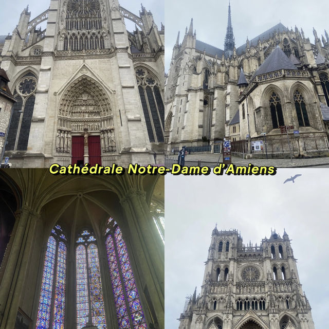 One-Day Trip | Amiens from Paris 🚆🌸