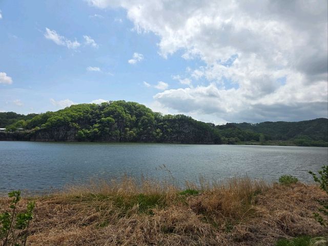 💛 창녕 낙동강 유채꽃 명소, 노란 물결 속 봄 산책🌼