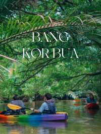 นั่งเรือชิลๆ ชมธรรมชาติใกล้กรุงเทพสุดๆ 🚣🌿