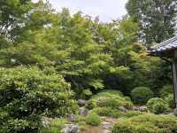 🌿こころが整う、ふたつの窓  京都・鷹峯「源光庵」