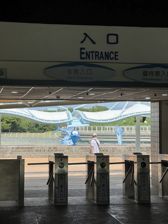 가오슝 여행 🤍