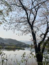 아산여행
