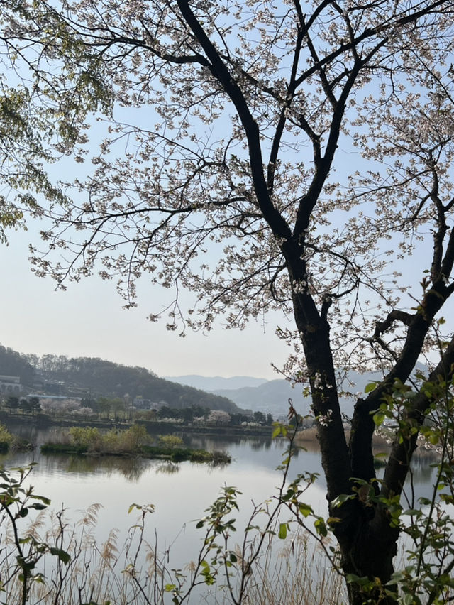 아산여행