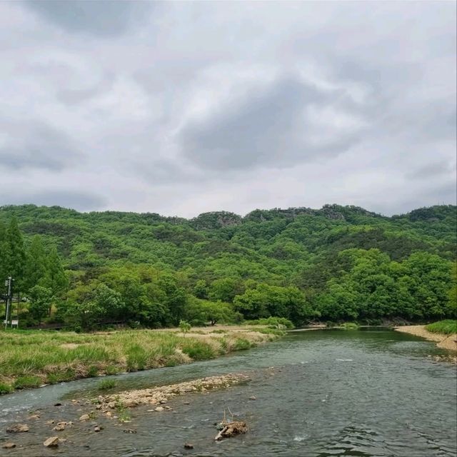 Daejeon Wanders