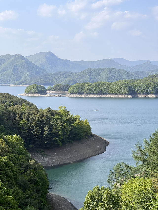 충주 당일치기 여행코스🩶🐊