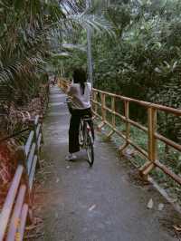 Cafe'ลับบางกระเจ้า