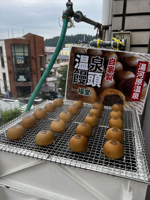 湯河原温泉に行くべき五つの理由🇯🇵✈️🌎