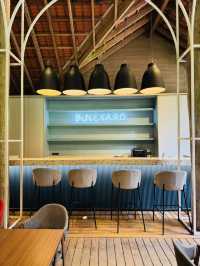 Pineyard Café — A Hidden Forest Dining Experience 