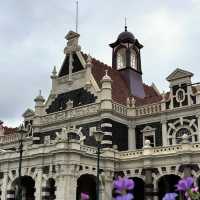 Dunedin: The South Island's Hidden Gem City! 💎✨